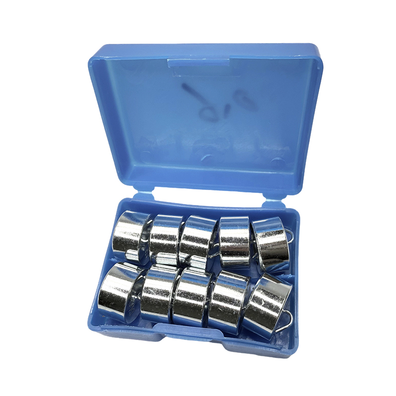 শিক্ষাগত হুকড ওজন সেট 50gx10PCS/স্কুল ফিজিক্স ল্যাব ইন্সট্রুমেন্ট সায়েন্স এক্সপেরিমেন্ট এবং টিচিং কিট